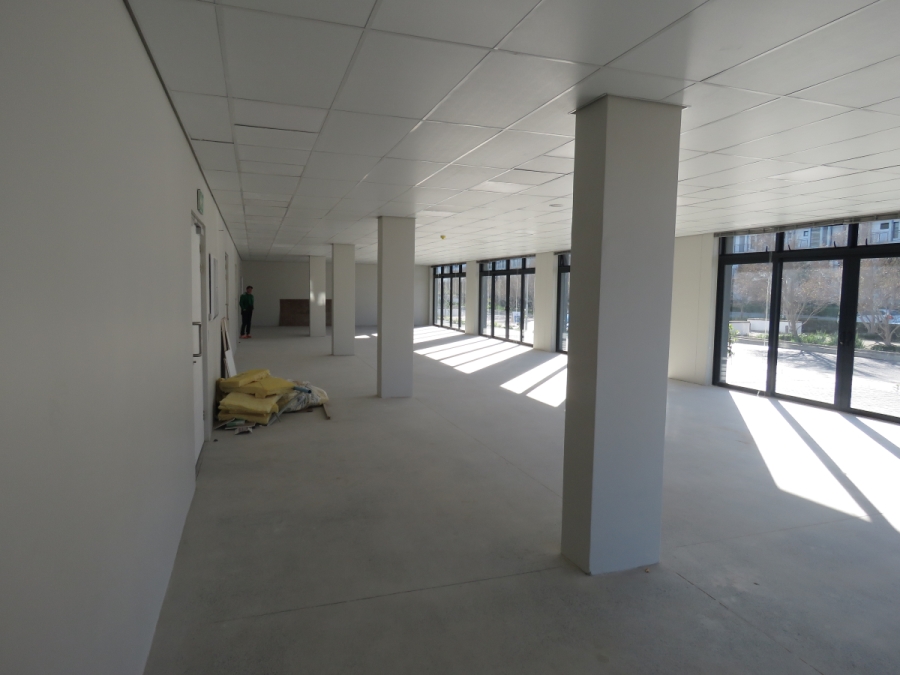 To Let commercial Property for Rent in Paardevlei Western Cape